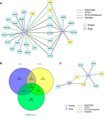 Integrative In Silico Investigation Reveals the Host-Virus Interactions in Repurposed Drugs Against SARS-CoV-2